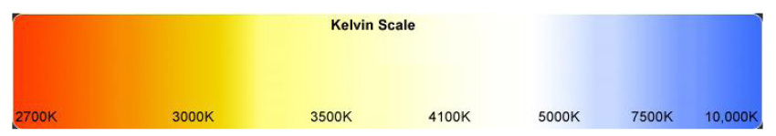 Kelvin Scale