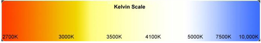 kelvin scale